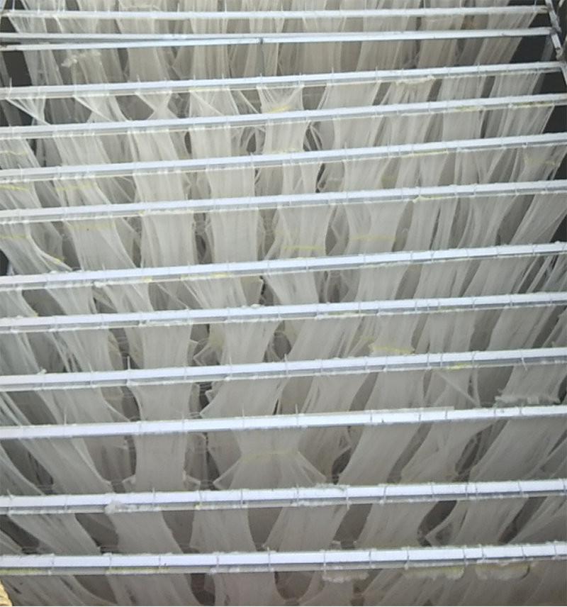MNBR脱氮除磷生物填料